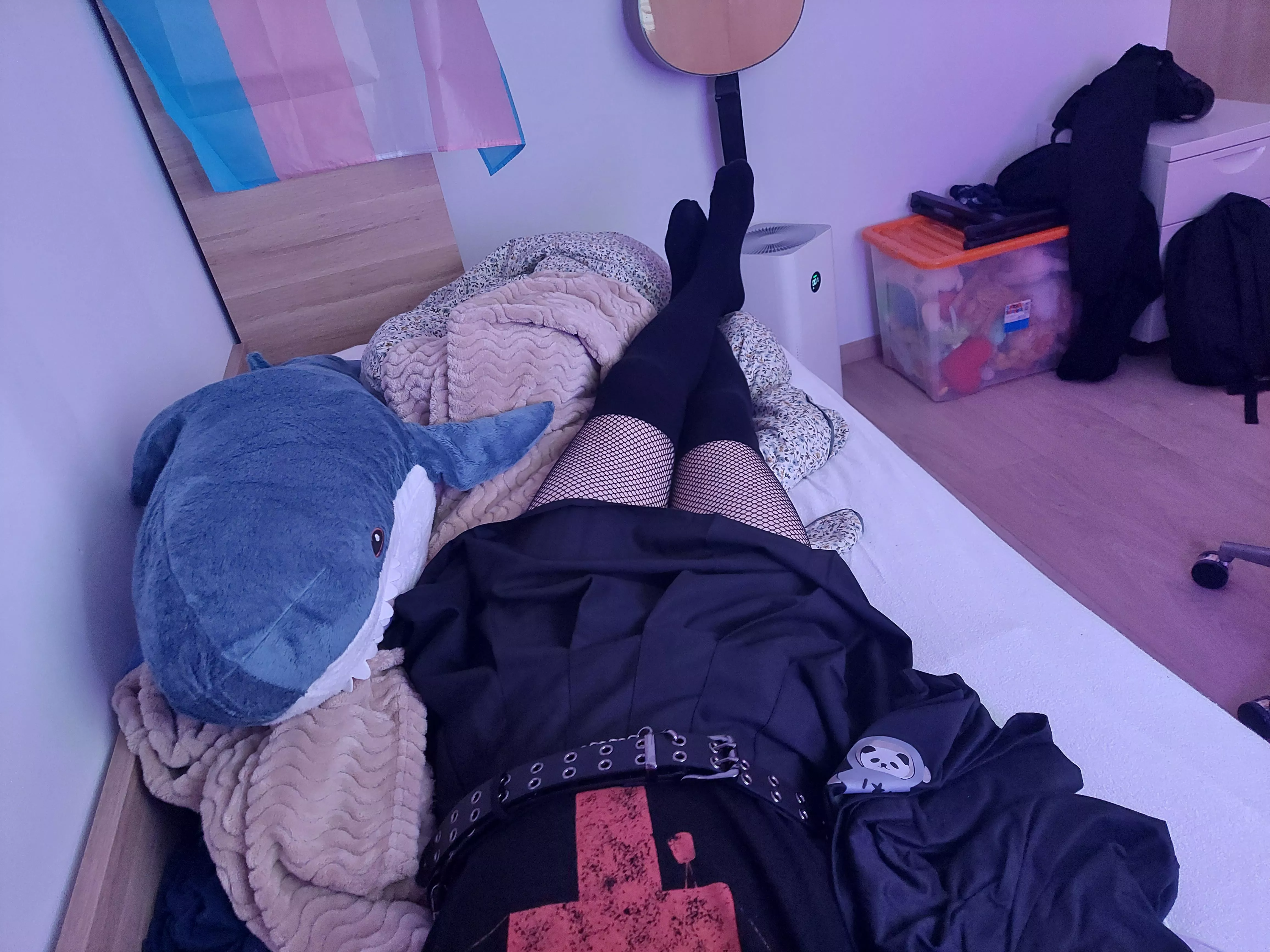 Feeling cute today :3 posted by talii_3