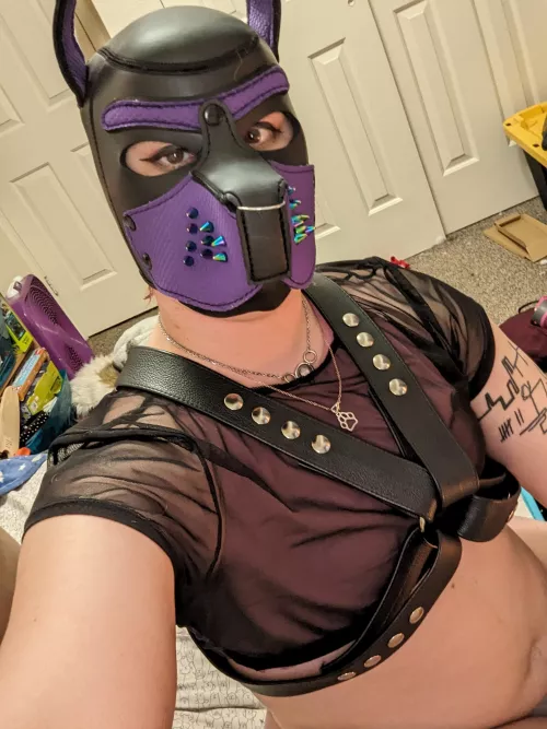 felt cute by pup-atlas-