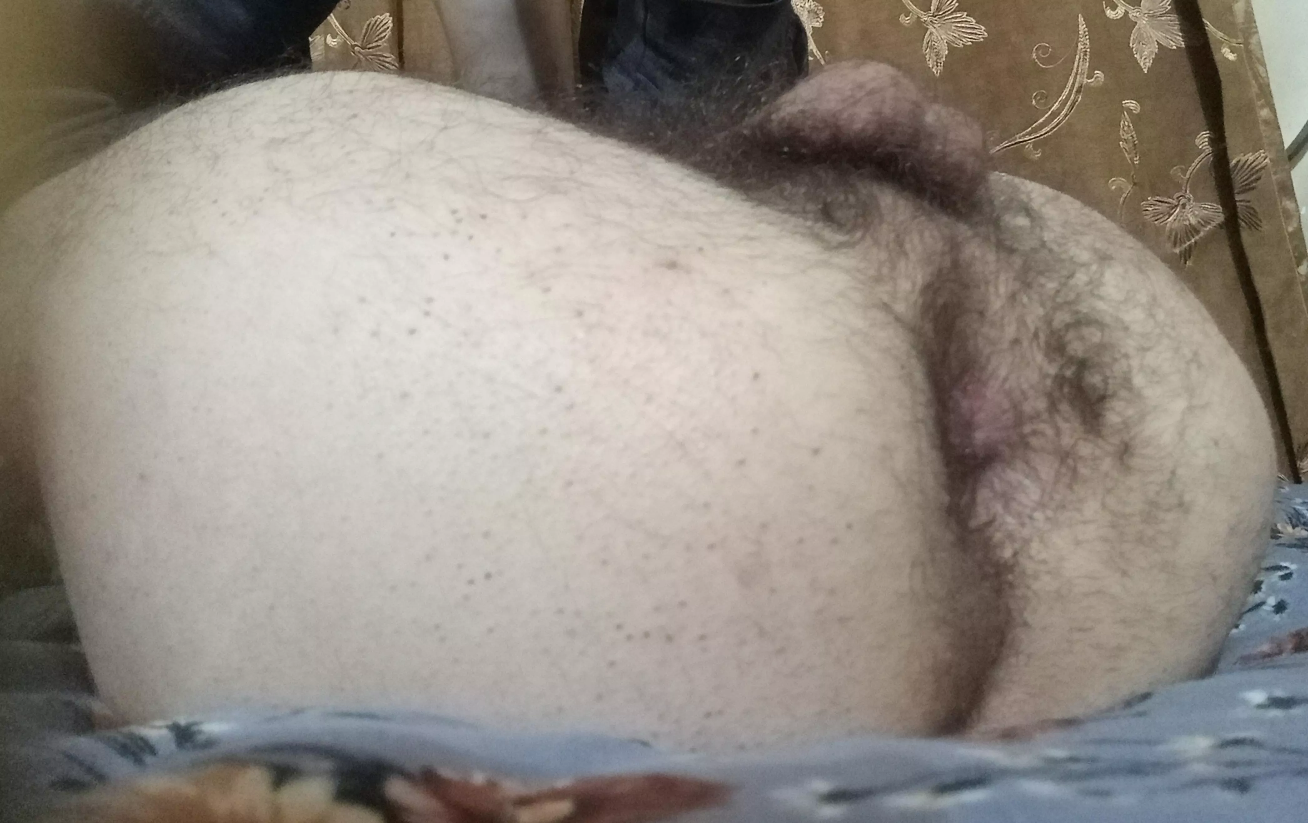 fill my hairy hole  posted by Practical_Phrase_720