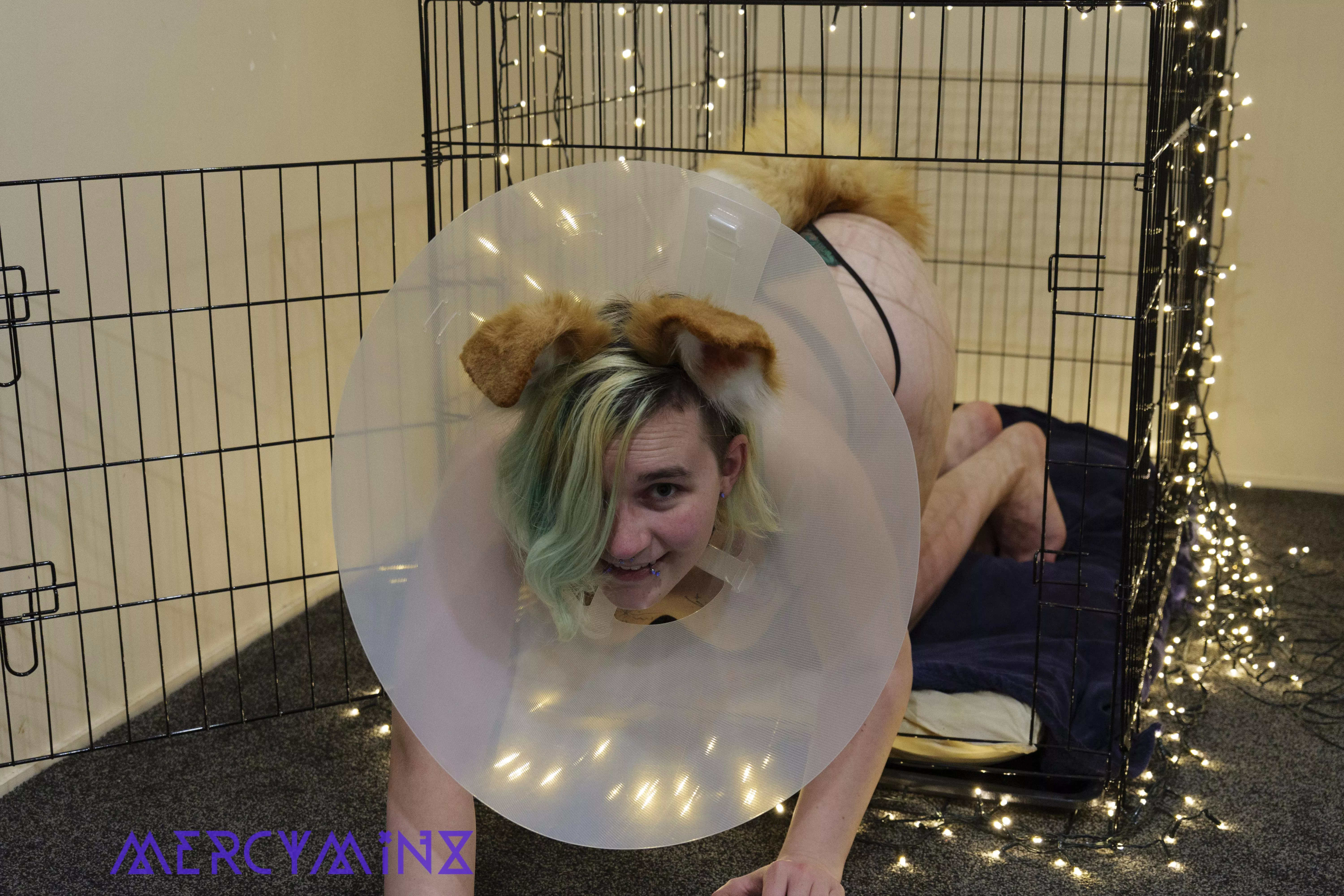 First the cone so I can't kiss then in the cage! [F] posted by Mercy_Minx