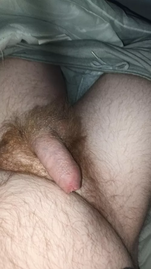 Ginger pubes 😈 by ChipChippa77