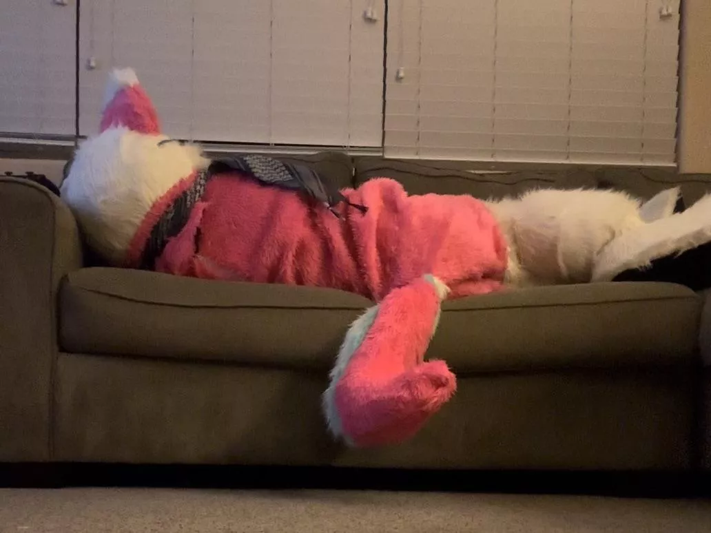 Grumpi  posted by Ancient_Summer_1833