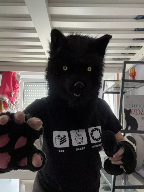 he decides to block your path! by HEV_dog_official