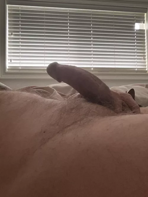 Home alone (72) by PhotojournalistOk843