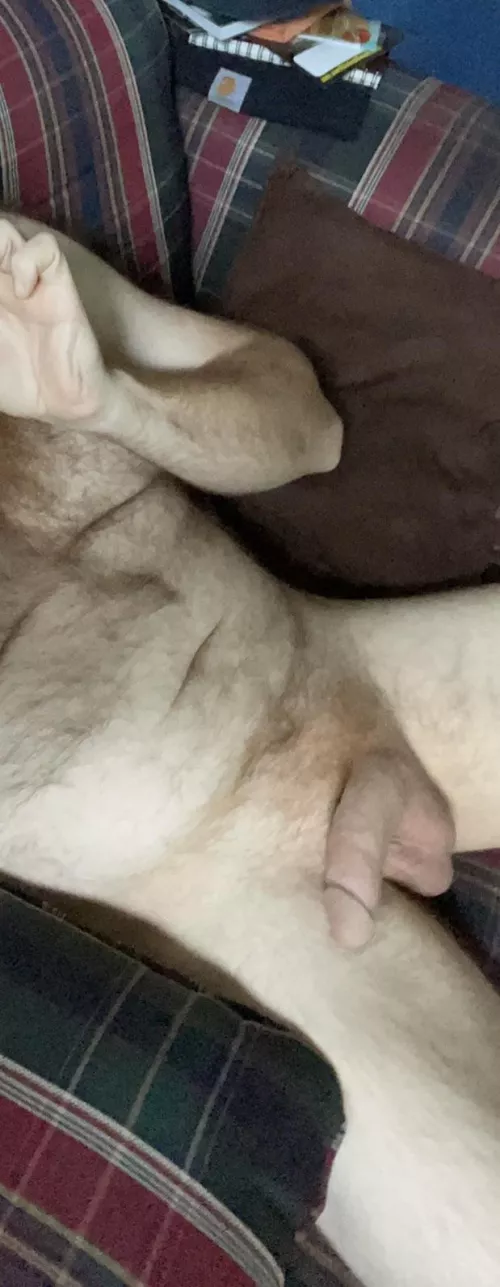 How does my hairy ginger dad bod look?  by ThickChicagoDik