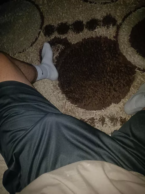 Huh ? I just woke up why are you stairing at me roommate ? by Ozzed808