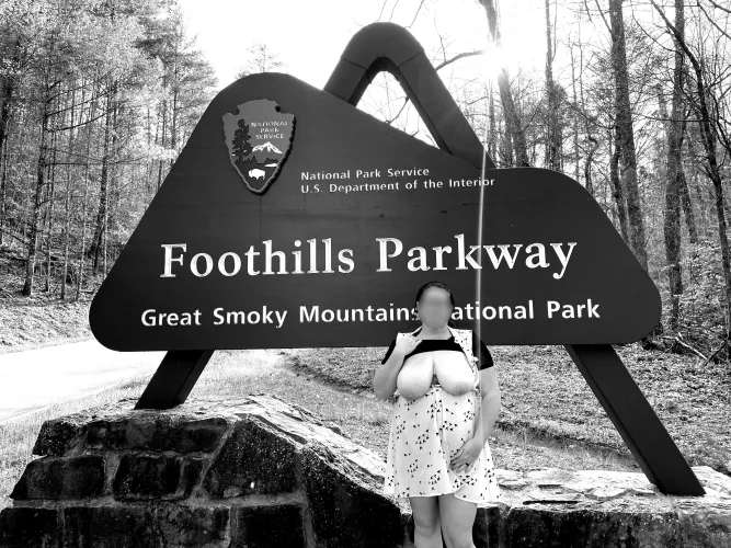 Just love taking road trips!!! by sevierfuncpl