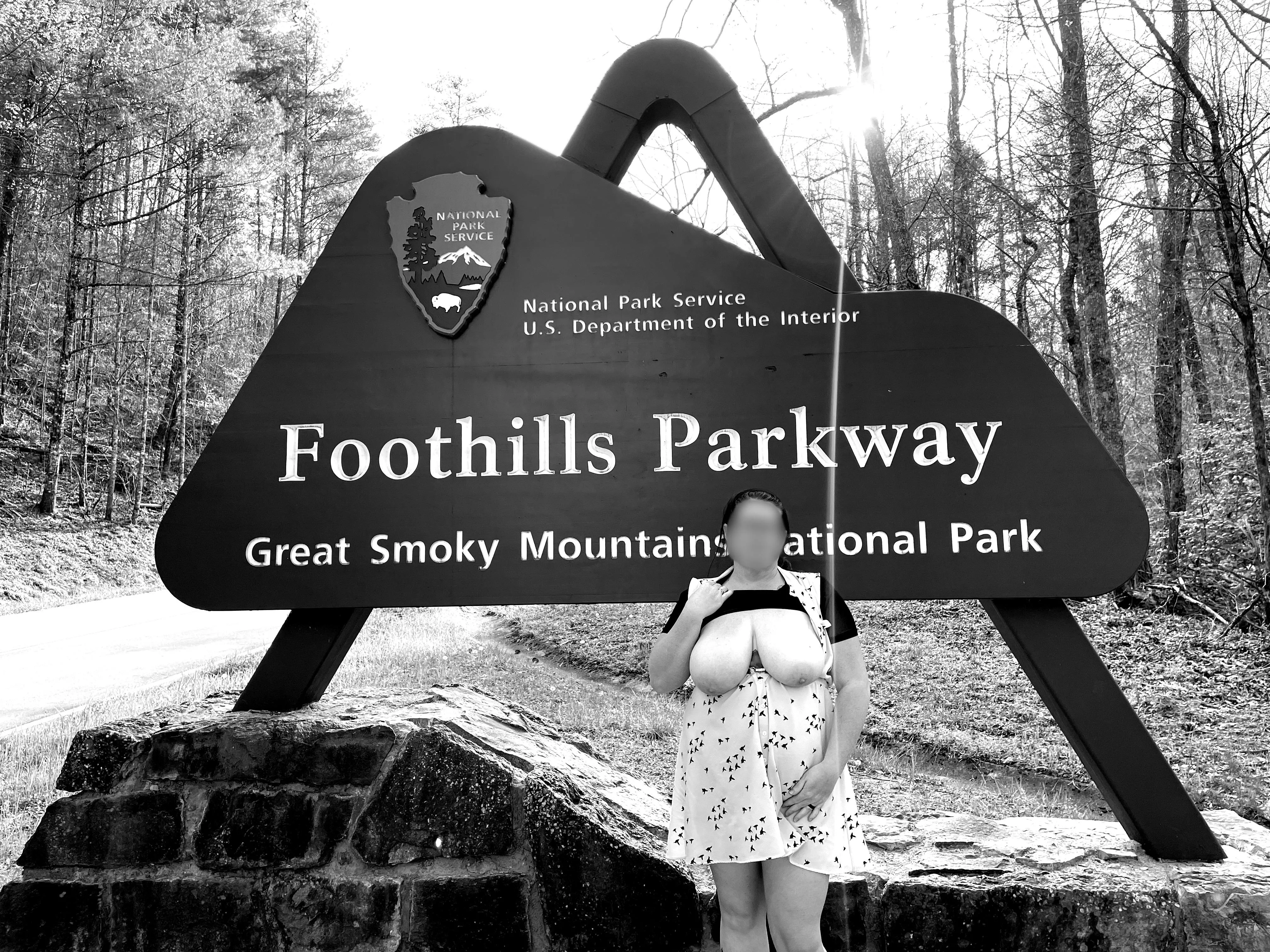 Just love taking road trips!!! posted by sevierfuncpl