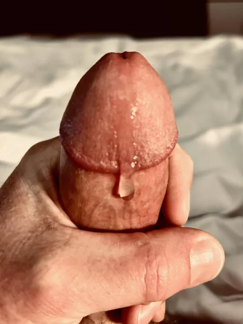 Monday morning by mufasjg