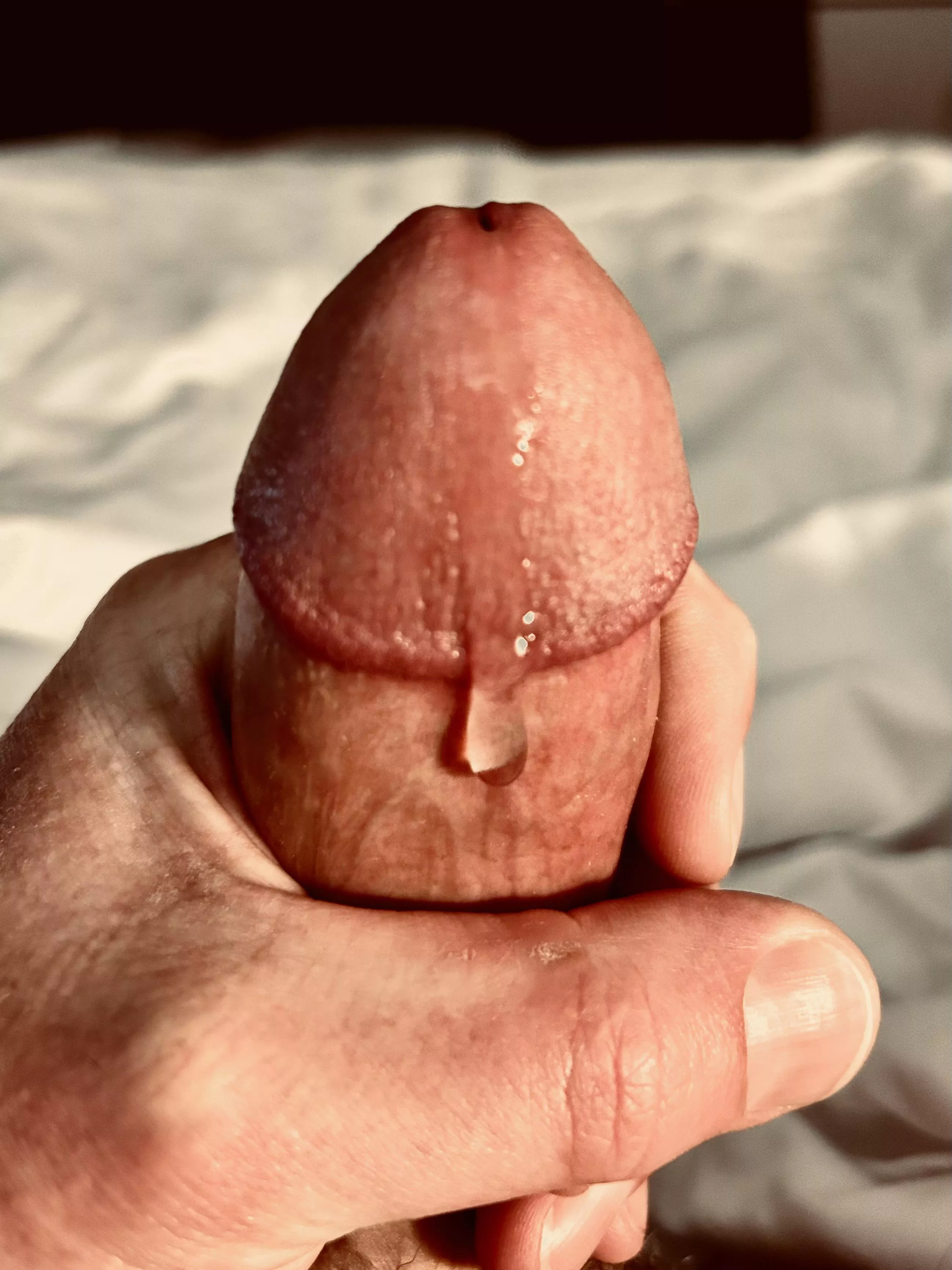 Monday morning posted by mufasjg