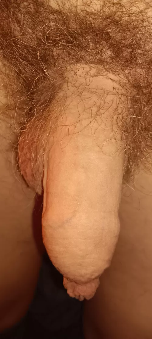 My 67 yr old softie  by Peterpotsy