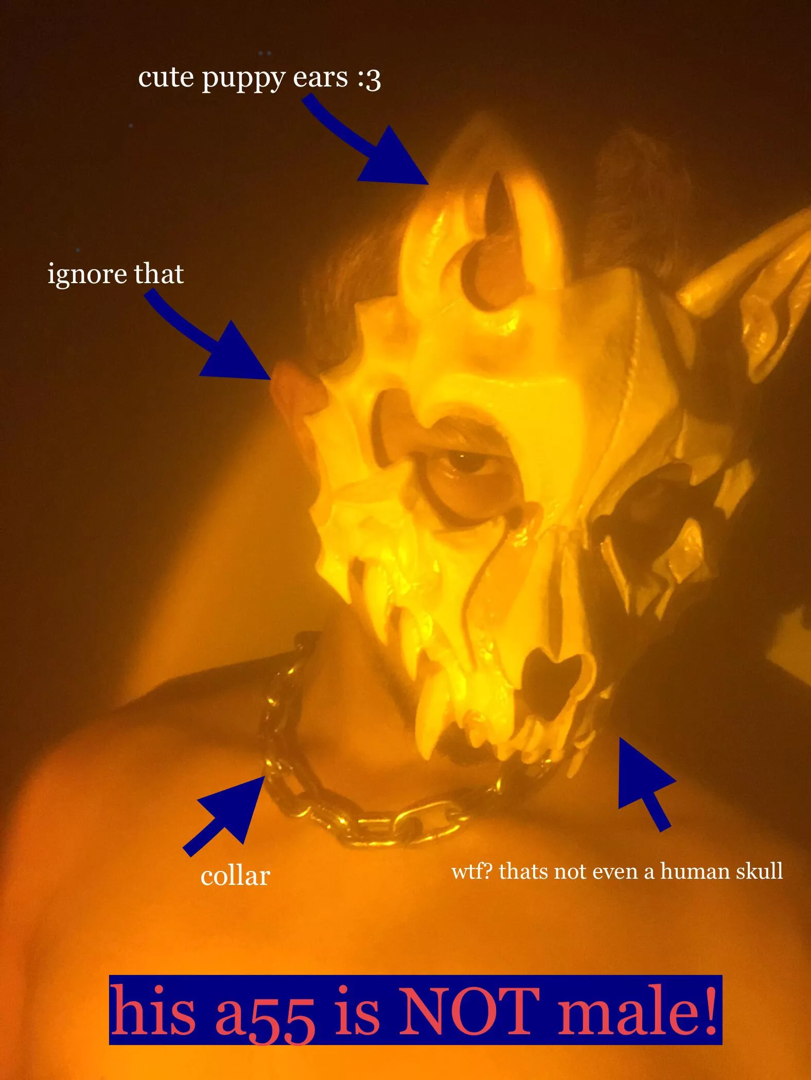 Not an actual leather mask. Does this serve? (sorry for the text, couldn't erase them) posted by 6SODO
