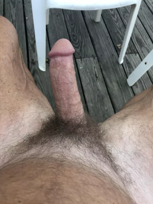 Outdoor Breakfast by Usual_Veterinarian33