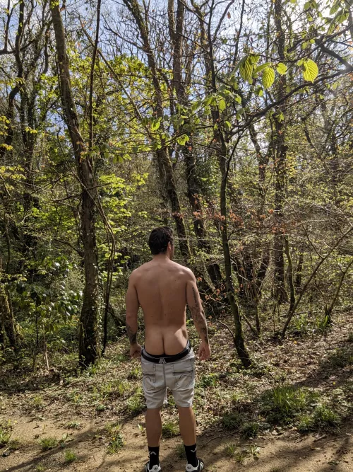 Peach in the woods ! by Old-Contribution2960