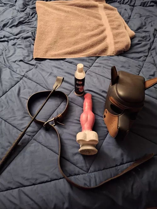 🐕  Pups about to play 🐕  by mrfeeless