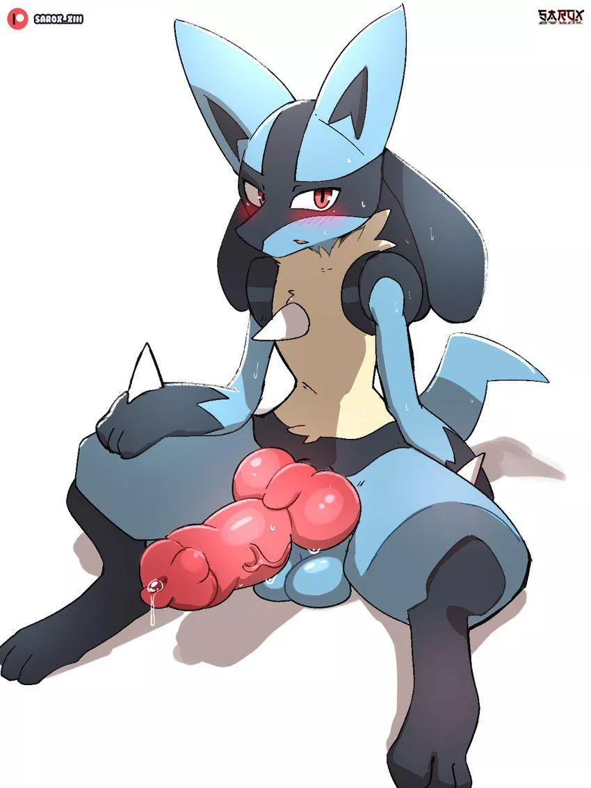 (Sarox) posted by TangentYoshi