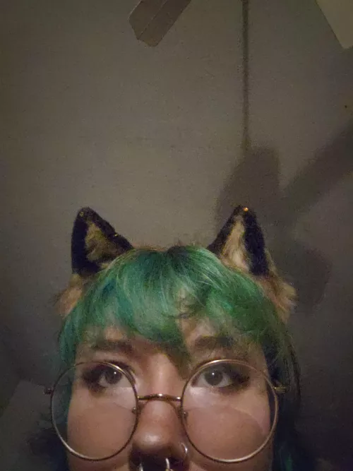 Whatcha got there by Lil_Peachy_Fox