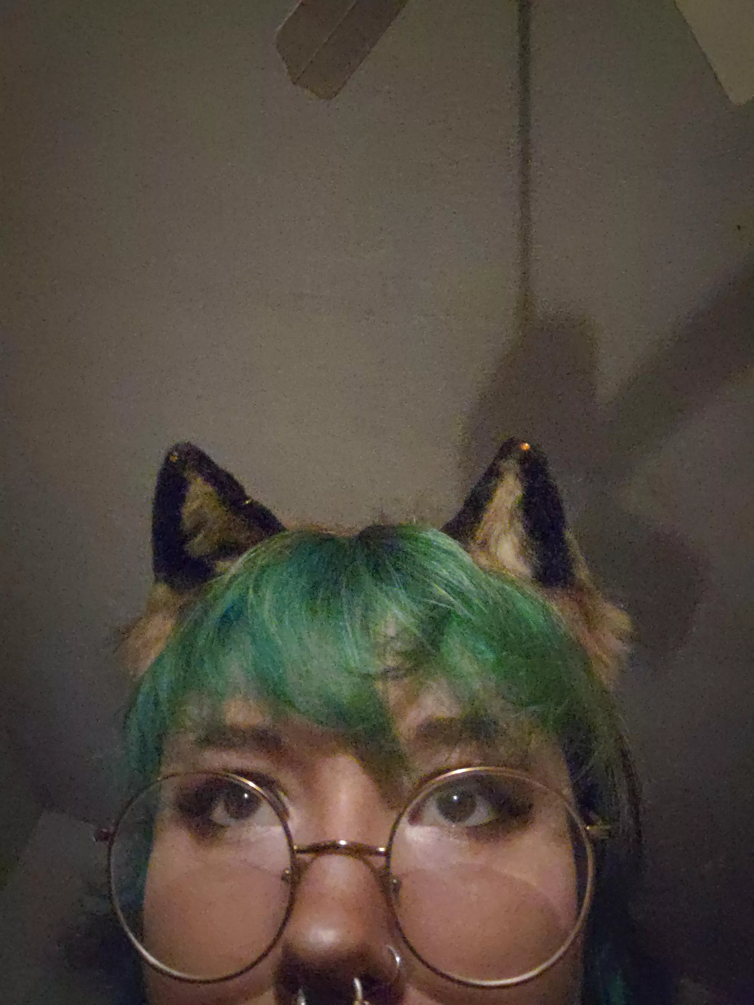 Whatcha got there posted by Lil_Peachy_Fox