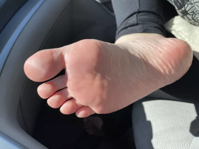 Would I be too distracting on our road trip? by TinieFeets