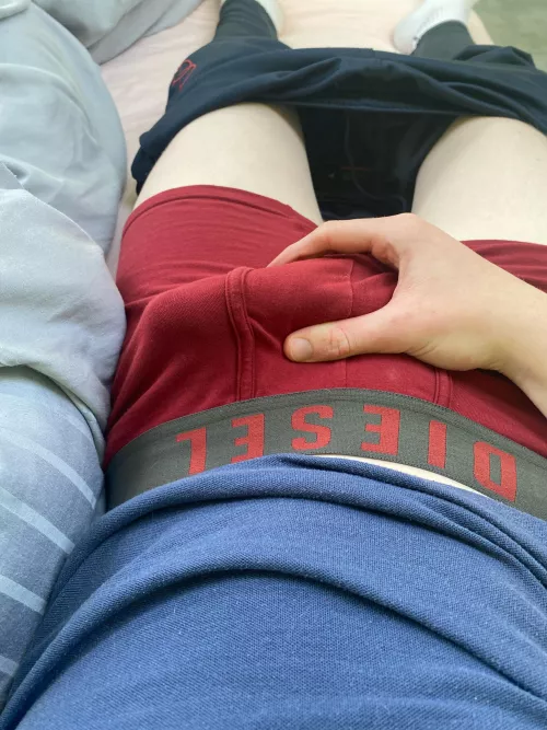 Young cock by Puzzled-Bowler-6997