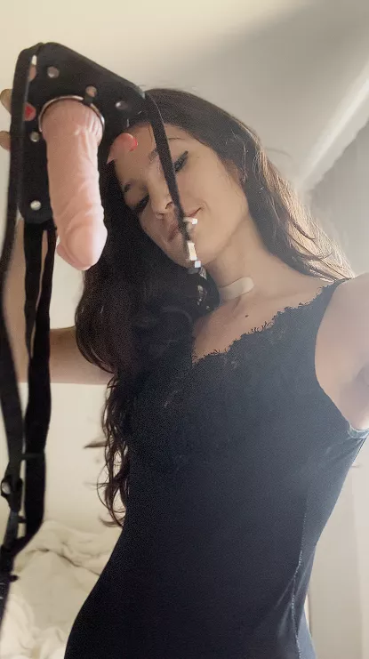 Your favorite thing up your ass posted by brunetteq