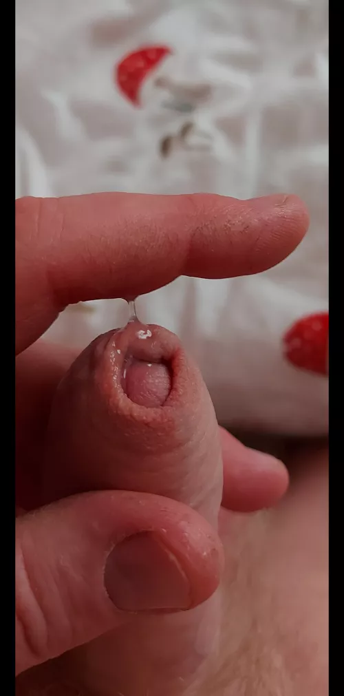 Anyone want to taste it? by ilsonram