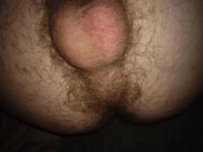 Are you a bttm guy who likes hairy top ass? by KinkTwinkOtter