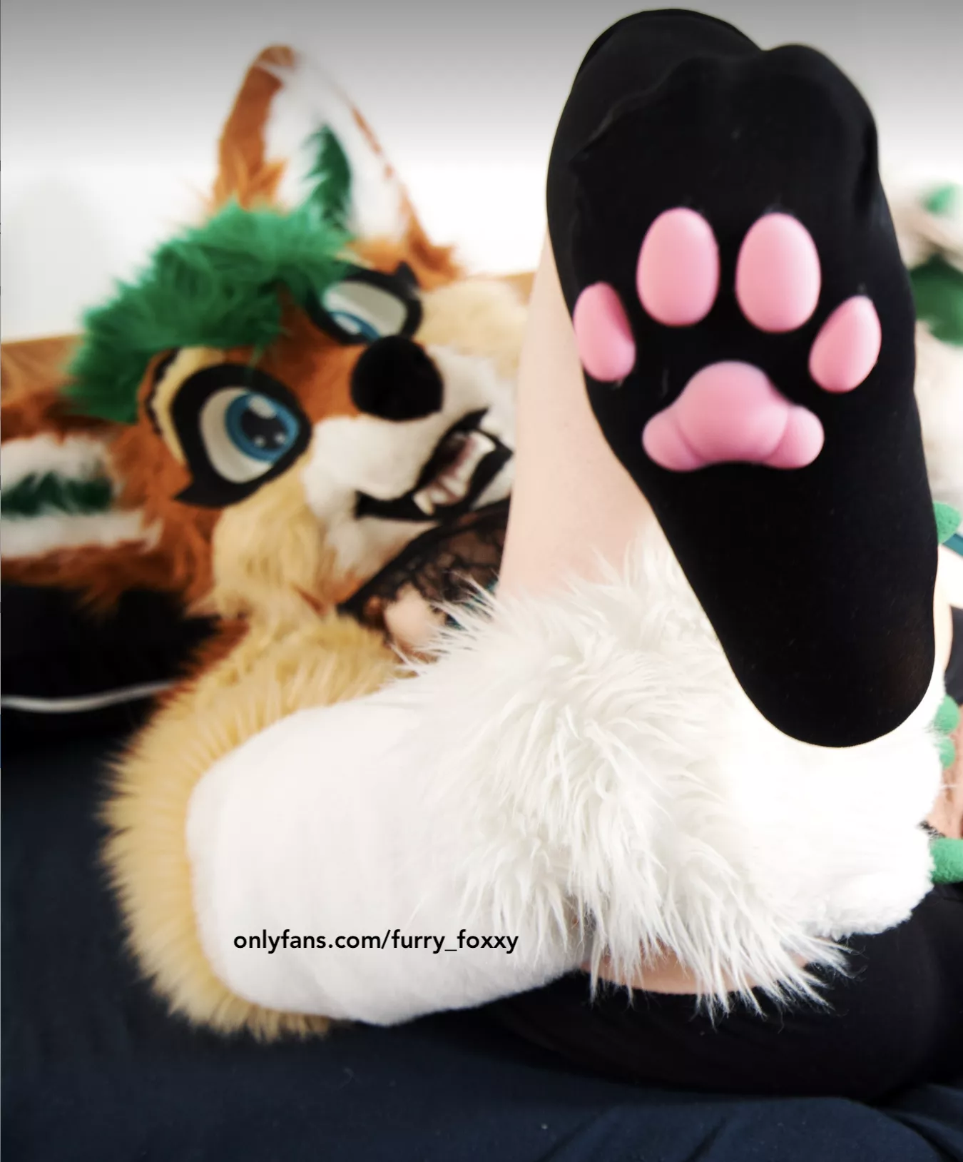 🐾 Boobs or Paws - what´s your decision? Paw Lovers show yourself !🐾 posted by FurryFoxxyStream