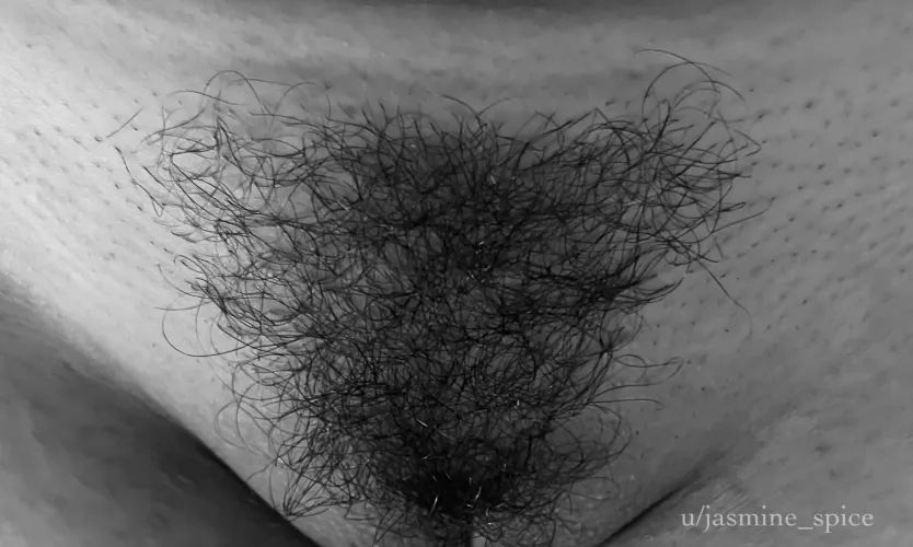 Bush love by jasmine_spice