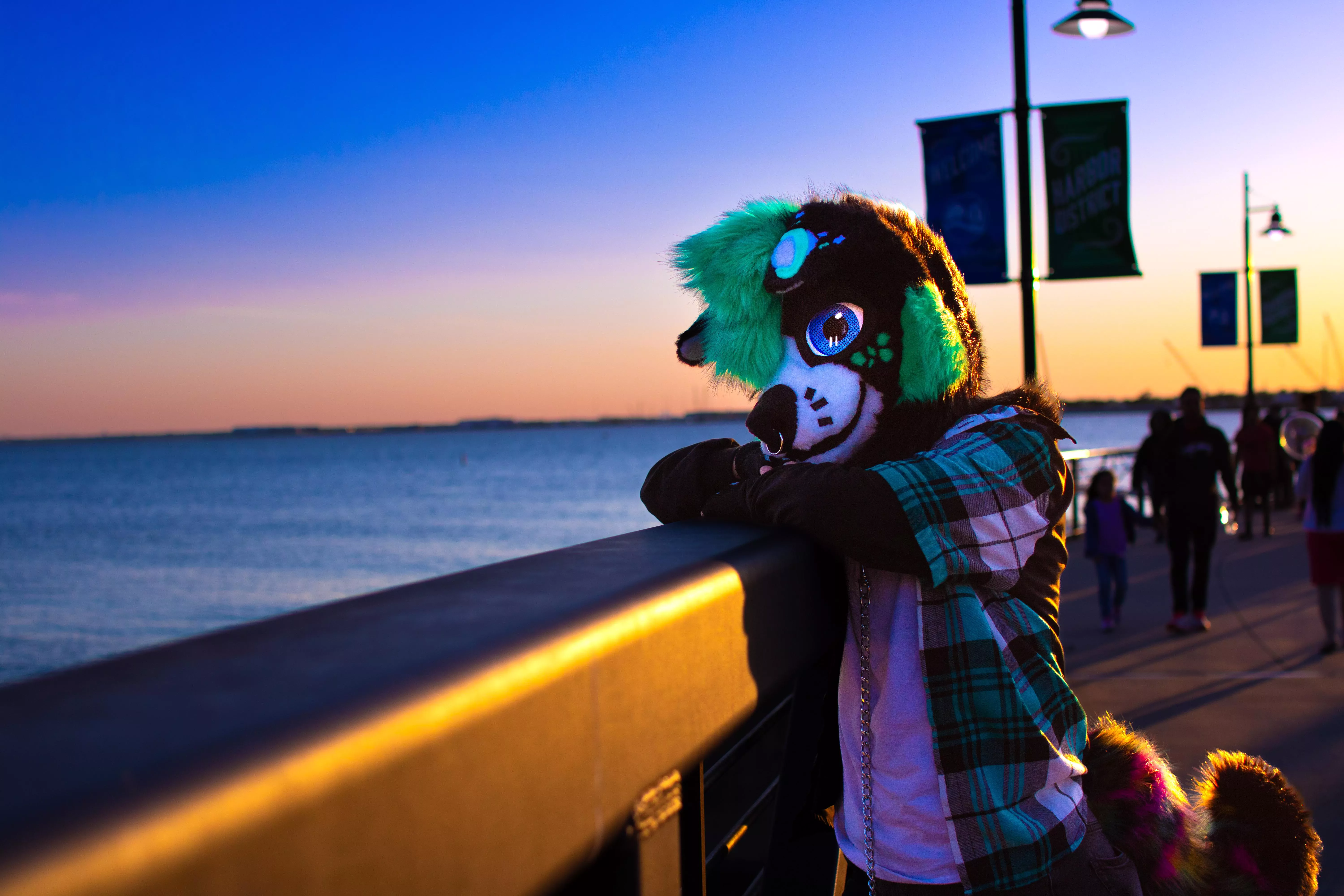 Can we go get a coffee? posted by Tobi_The_Wah