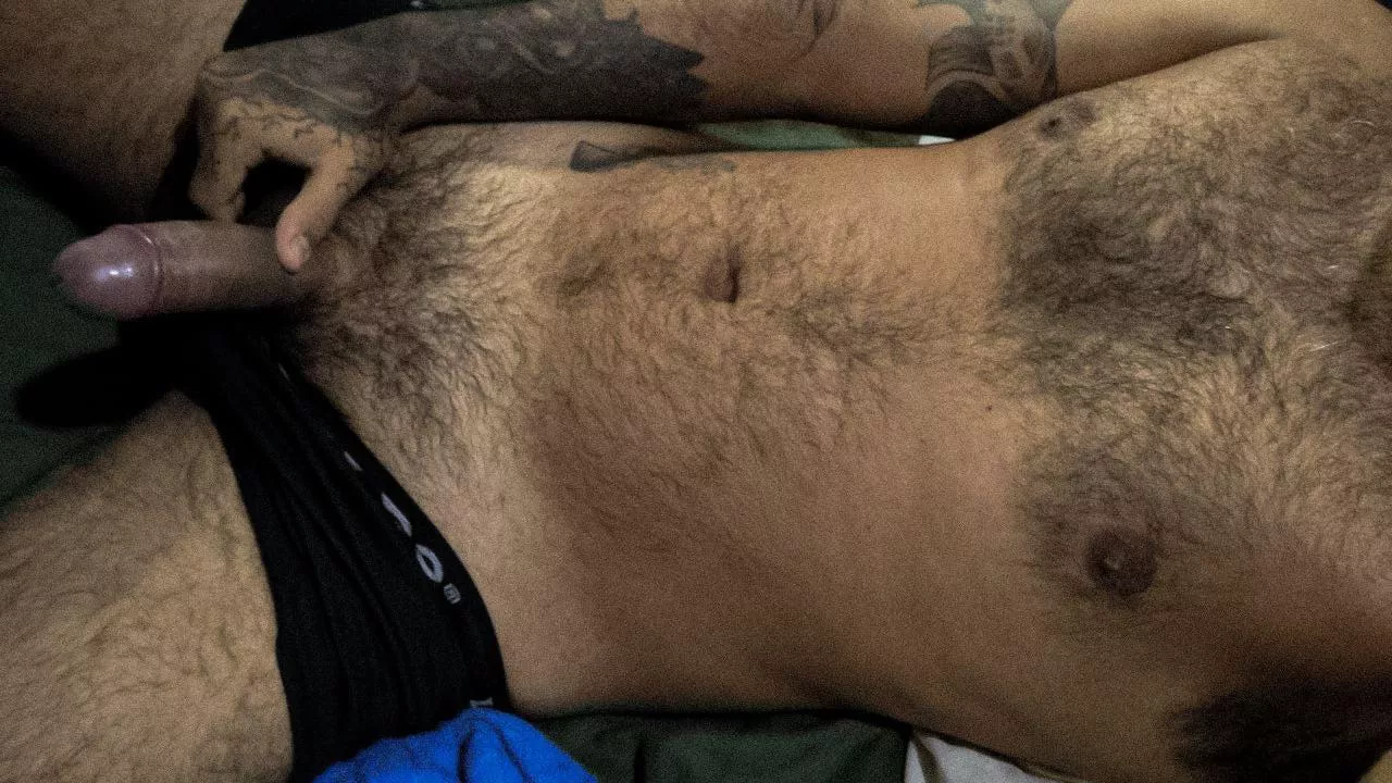 Do you like hairy boys?  posted by Flirtymank
