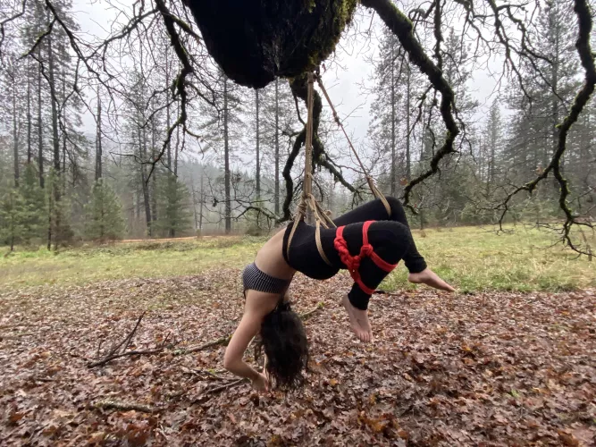 First time suspension  by jtraaamps