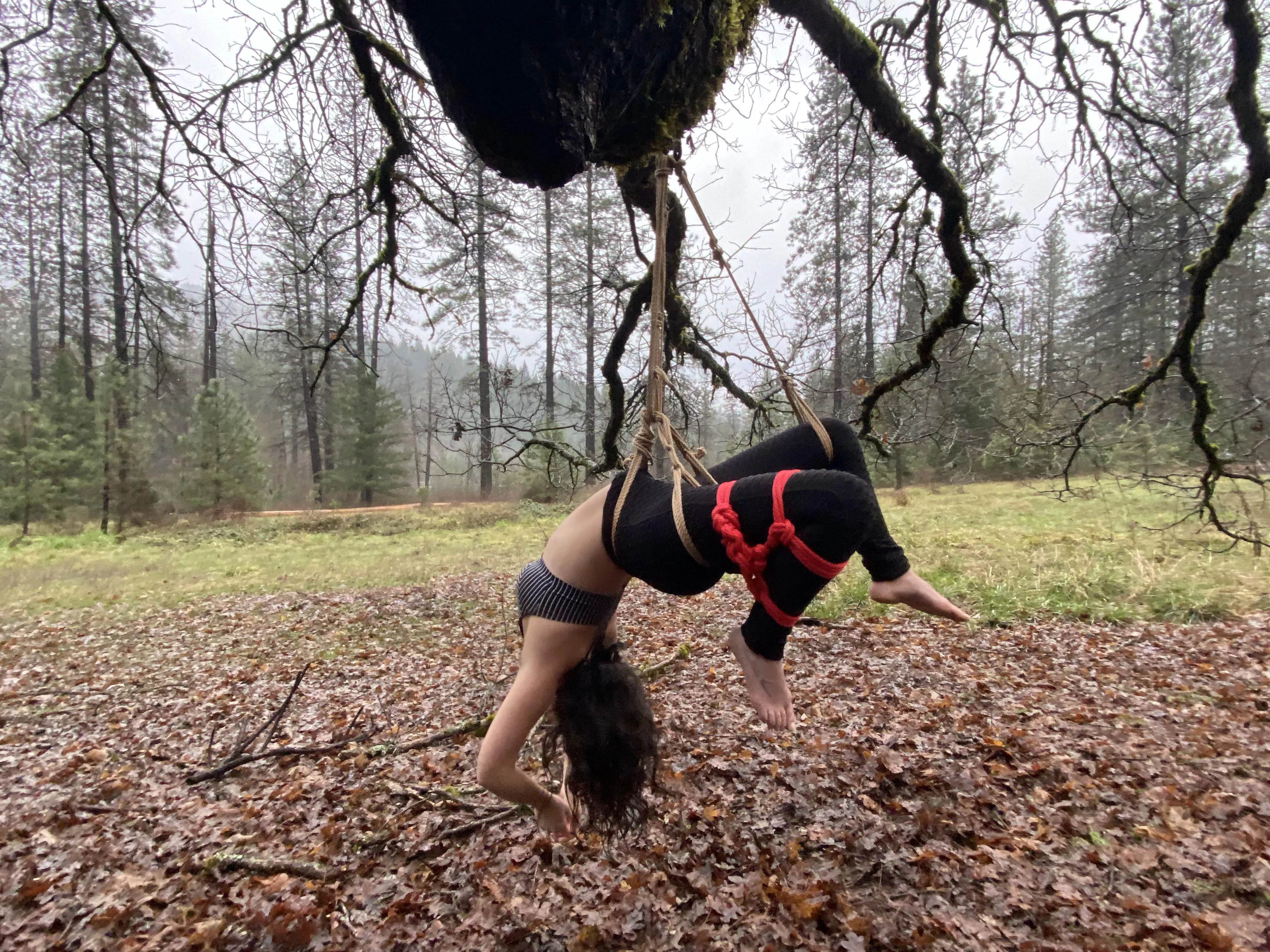 First time suspension  posted by jtraaamps