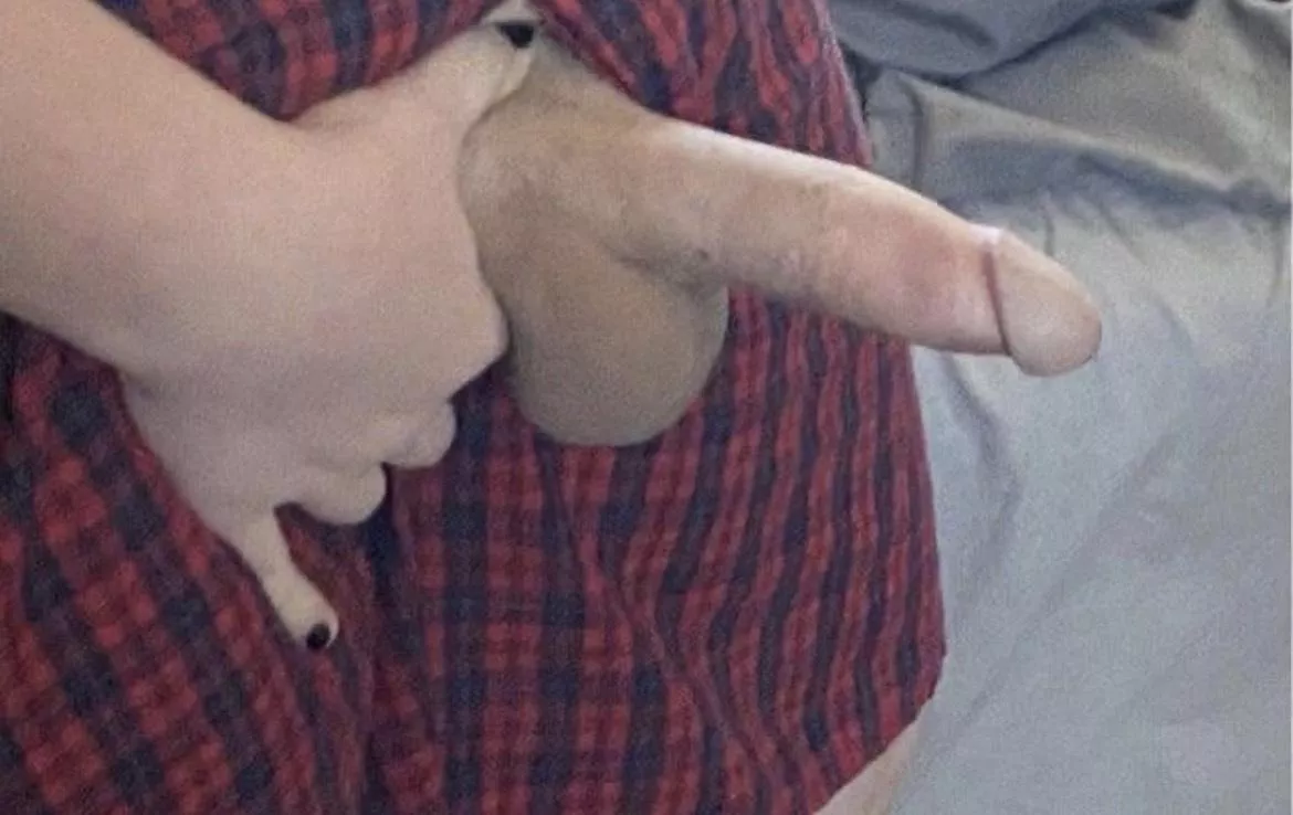 has hubby ever taken it up the ass first? posted by adam4789