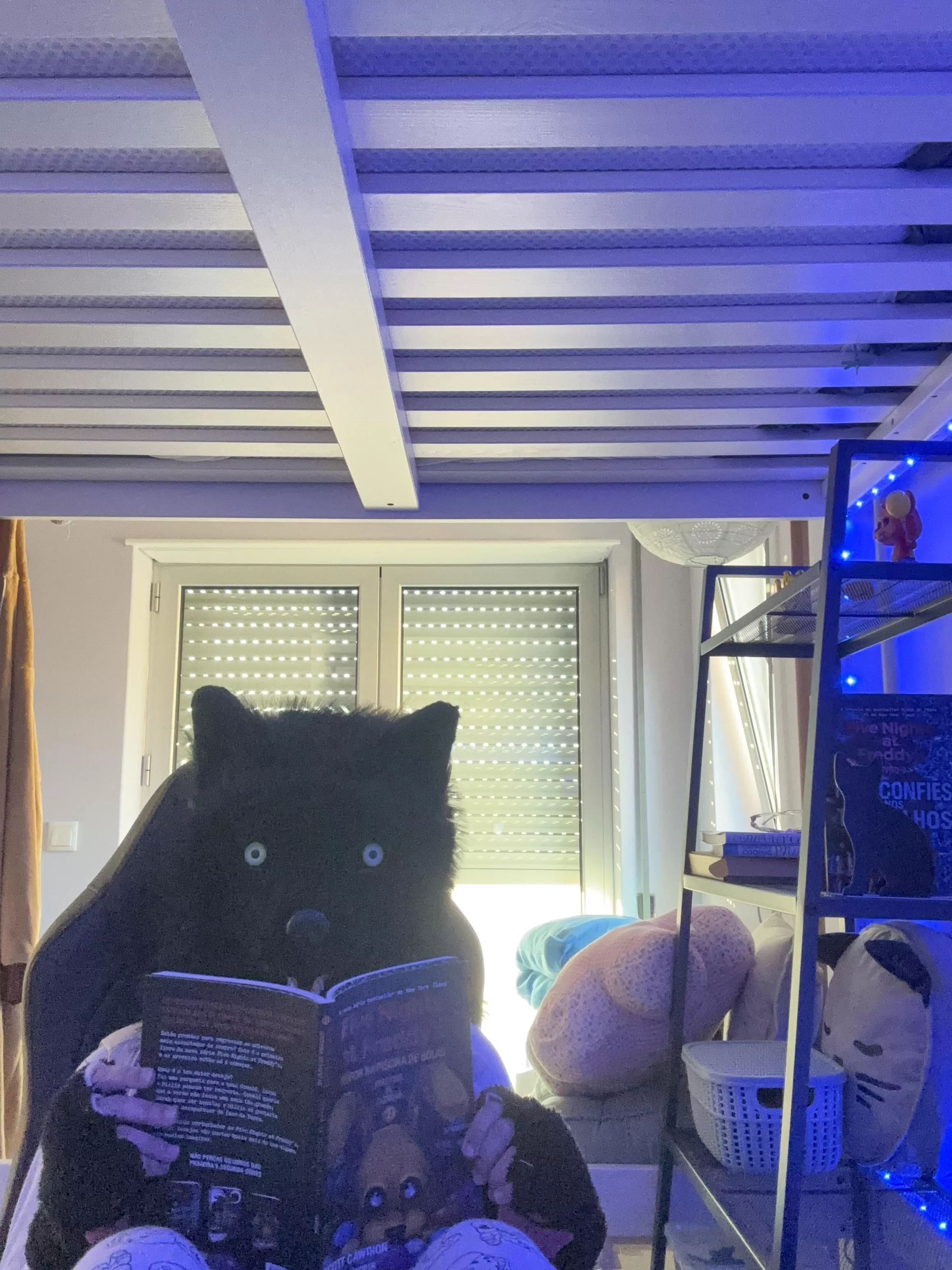 he likes reading! posted by HEV_dog_official