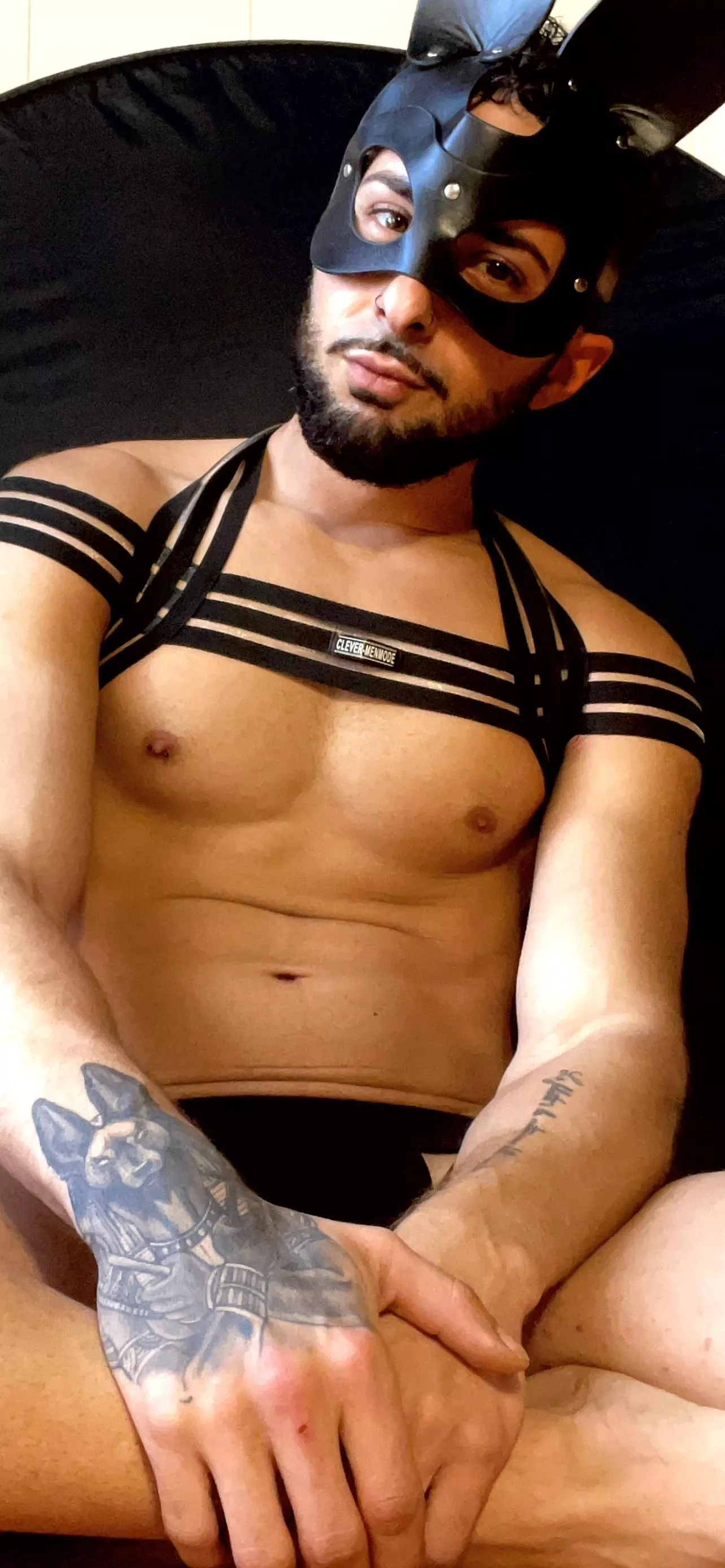 hello girls!  I am a fan of you, and I hope I don't bother you, I just wanted to share the desire with the bunny world. posted by erian2