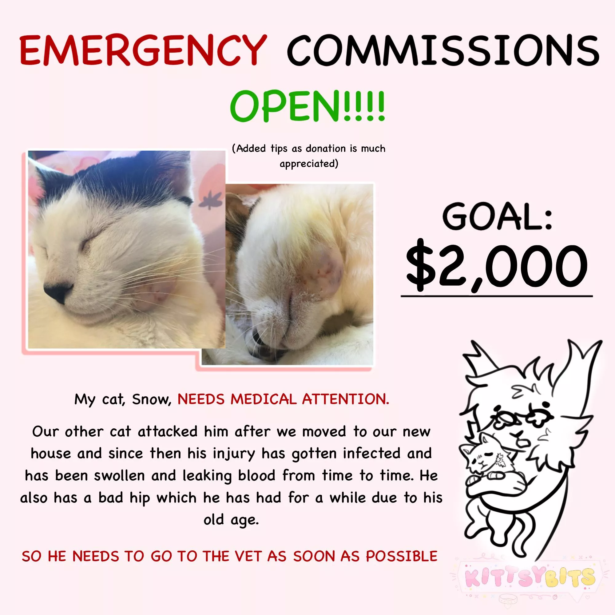 HELP MY CAT!! COMMISSIONS NOW OPEN TILL THE GOAL IS MET DM ME IF INTERESTED posted by Kittsybits
