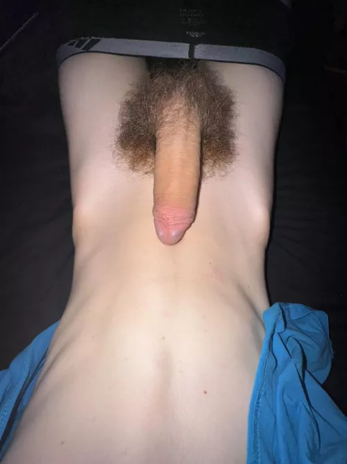 how big do you think it is hard? by NoWerewolf9816