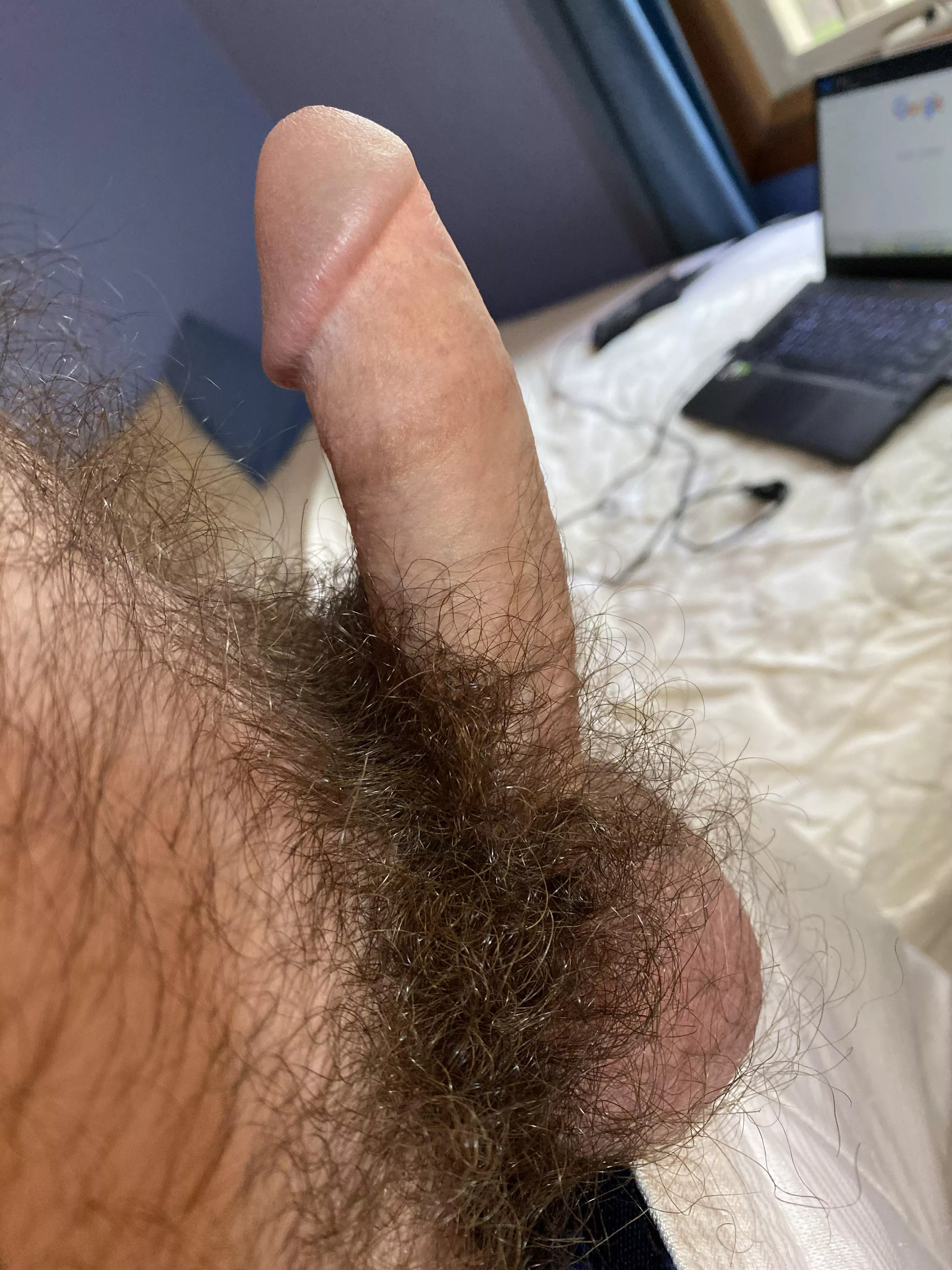 How’s it looking? posted by luhfluke