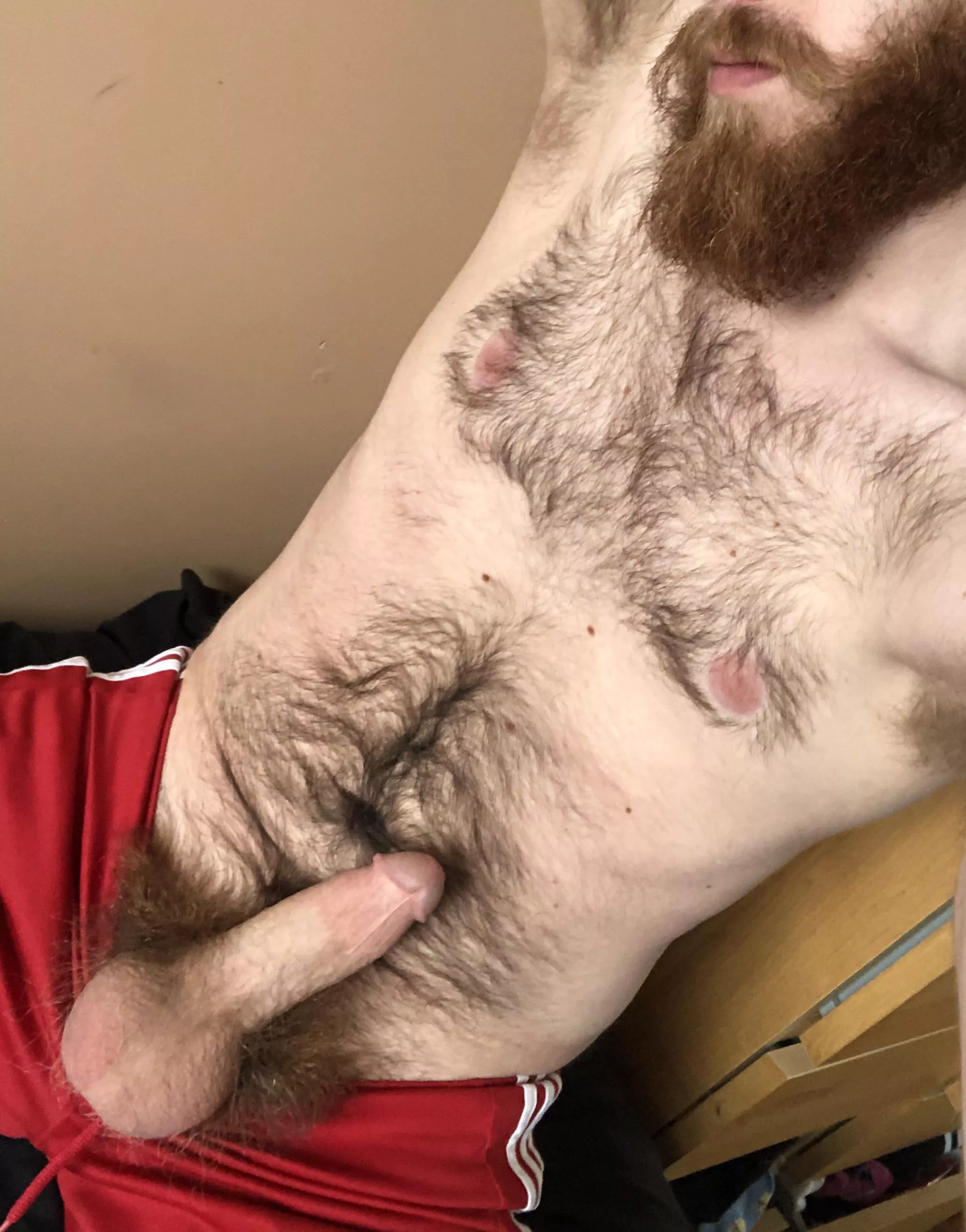 I don’t mind a lazy day 😜 posted by gingerunion