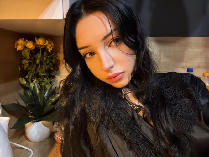 IUTR by Niightfall420