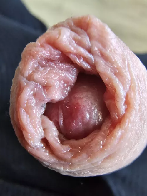 Macro of my foreskin🔍 by Sutamen