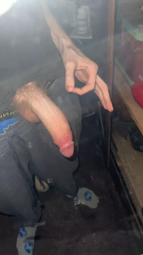 made you look by DebtIcy906