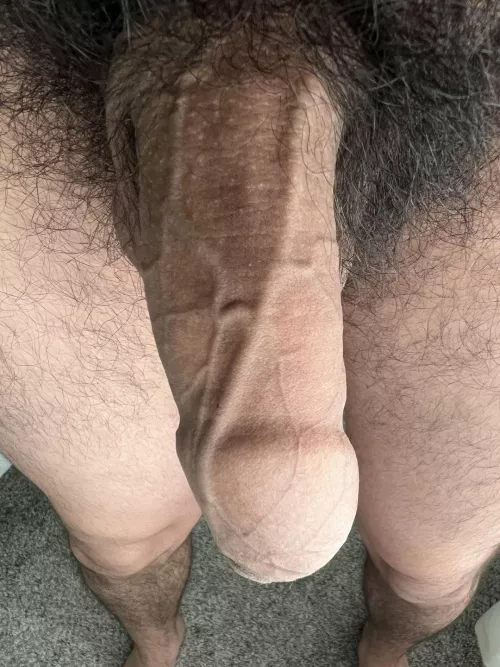 My pubes are begging for someone’s face deep in them  by KingMaximus777