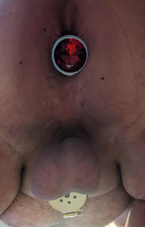 Nothing like being locked up and plugged up 🥵 by Darkknight5277