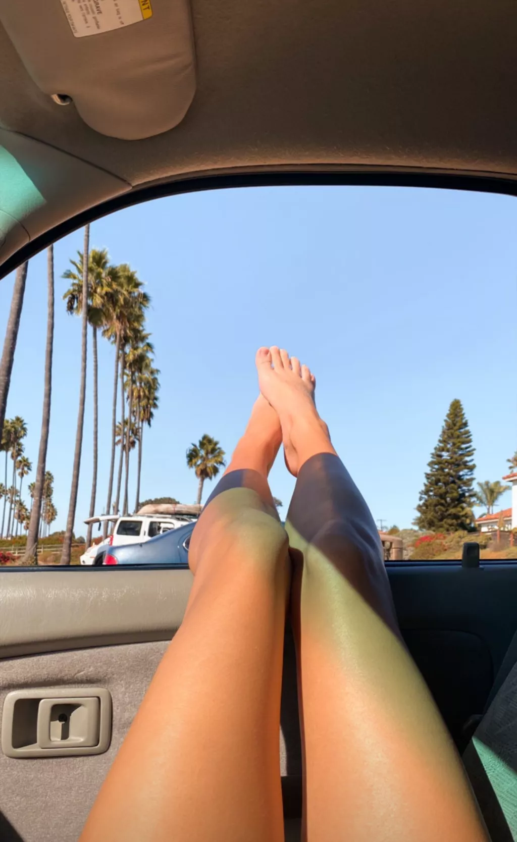 Palms IRTR posted by southwade