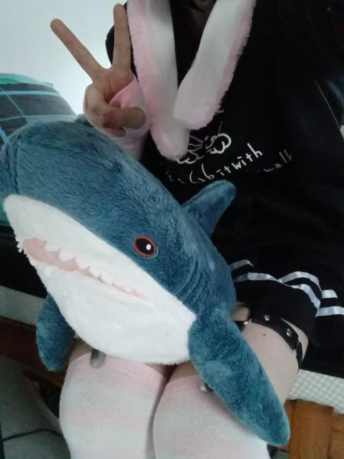 photo with blahaj by 4Peach1