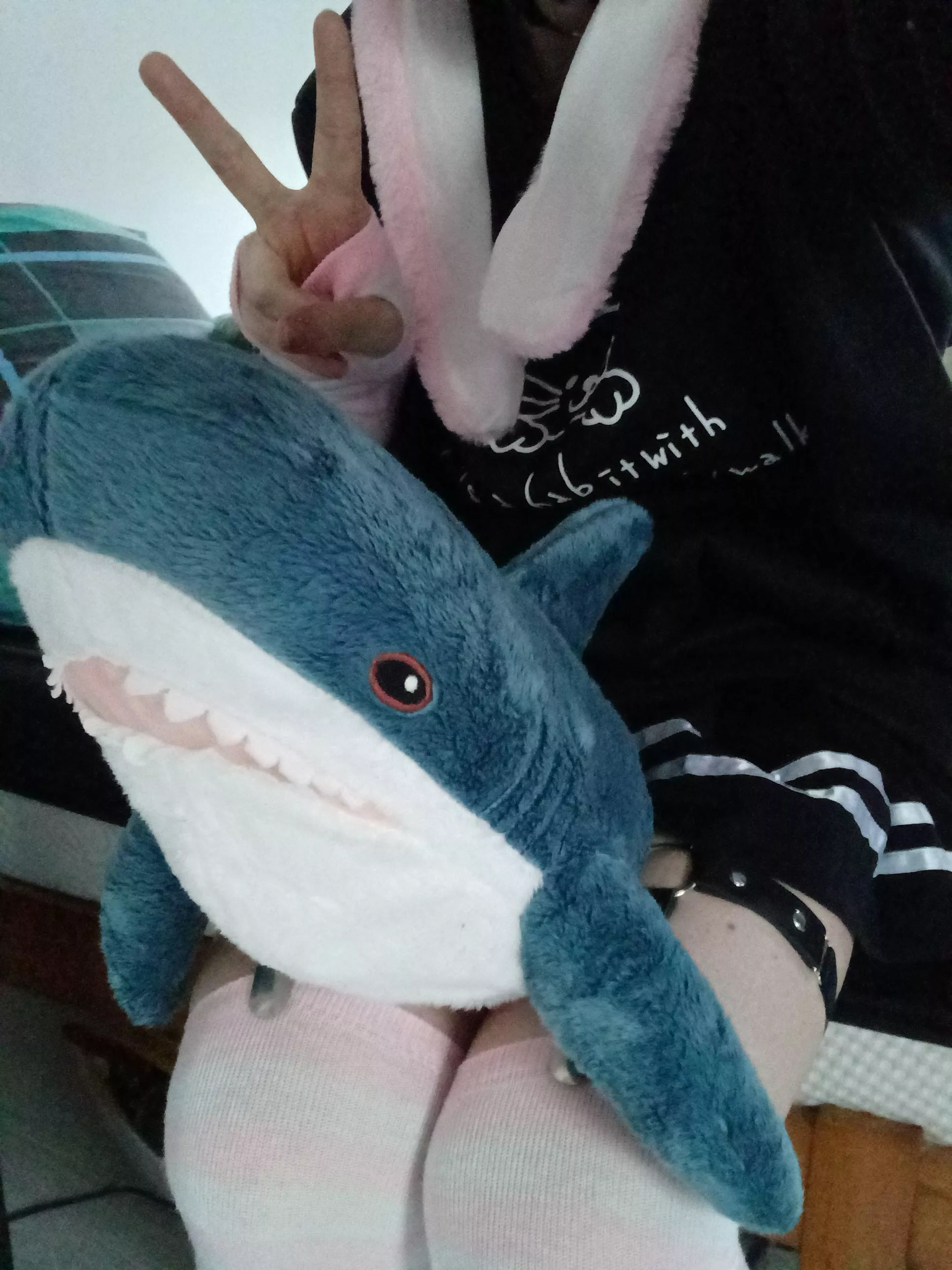 photo with blahaj posted by 4Peach1