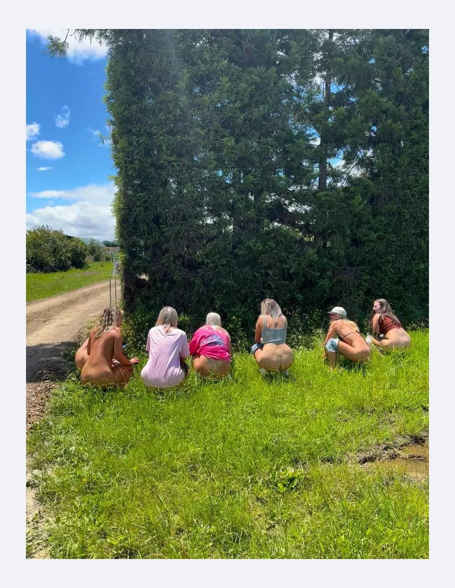 roady piss stlp posted by Still_Philosophy_41