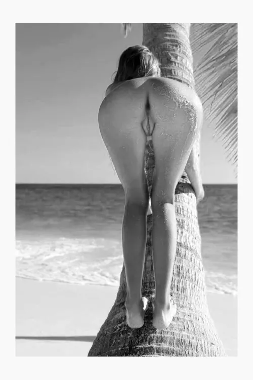 Slcial Climber by General_Schedule_608